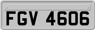 FGV4606