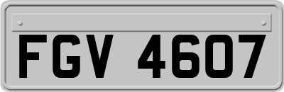 FGV4607