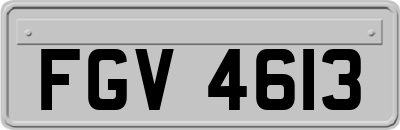 FGV4613