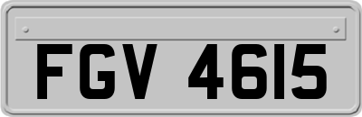 FGV4615