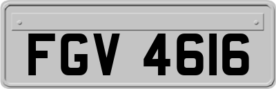 FGV4616