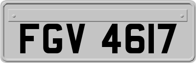 FGV4617