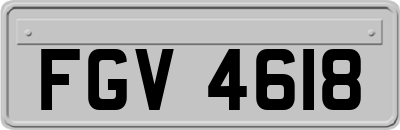FGV4618