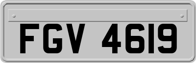 FGV4619