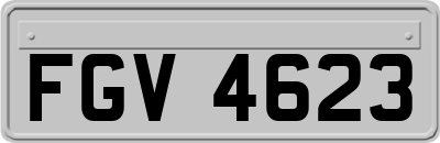FGV4623