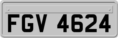FGV4624