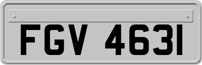 FGV4631