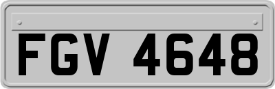 FGV4648