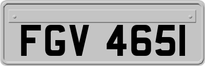 FGV4651