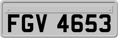FGV4653