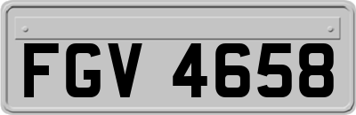 FGV4658