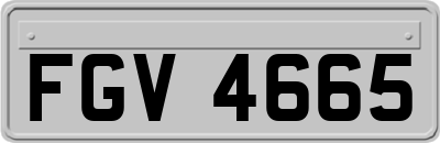 FGV4665