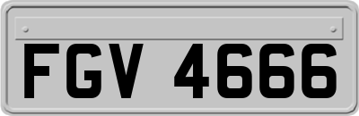 FGV4666
