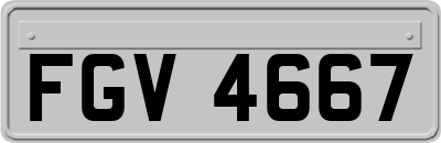 FGV4667