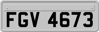 FGV4673