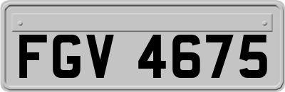 FGV4675
