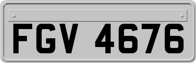 FGV4676