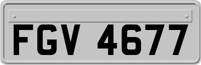 FGV4677