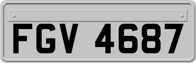 FGV4687