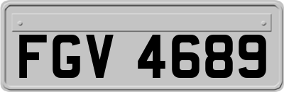 FGV4689