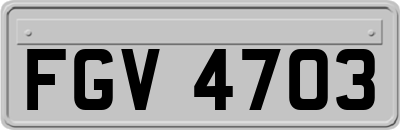 FGV4703