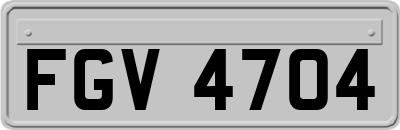 FGV4704