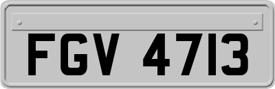 FGV4713