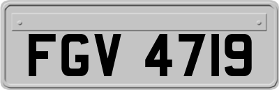 FGV4719