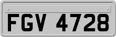 FGV4728