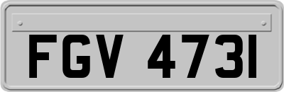 FGV4731