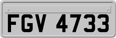 FGV4733