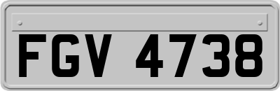 FGV4738
