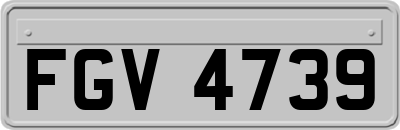 FGV4739