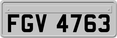 FGV4763