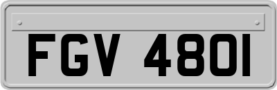 FGV4801