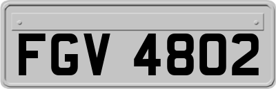 FGV4802