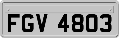 FGV4803