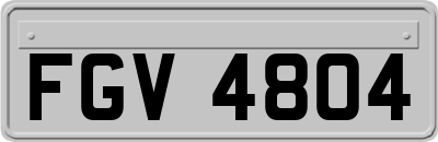 FGV4804