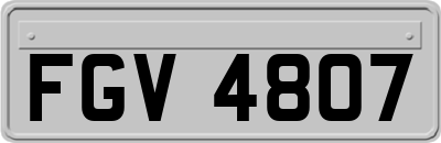 FGV4807
