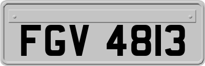FGV4813