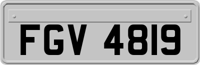 FGV4819