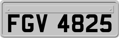 FGV4825