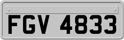 FGV4833