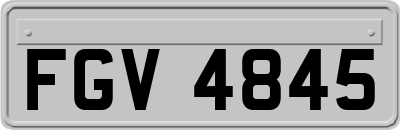 FGV4845