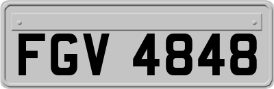 FGV4848