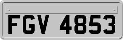 FGV4853