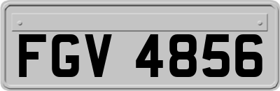 FGV4856