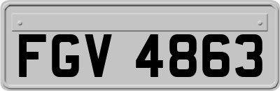 FGV4863