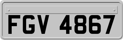 FGV4867