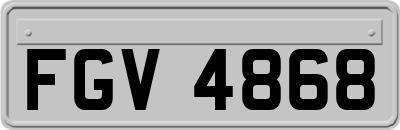 FGV4868